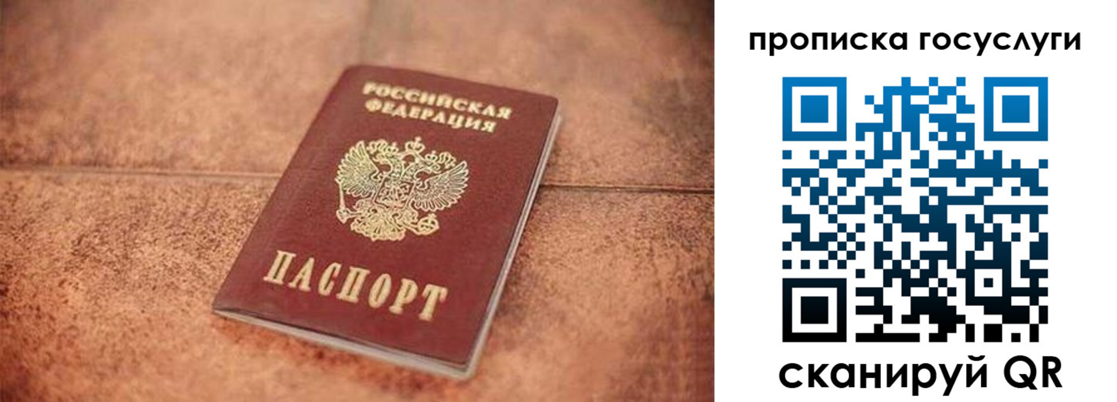 прописка законно в Барыше